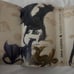 Fairyloot Fourth Wing
