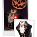 BATH AND BODY WORKS HEADLESS HORSEMAN WALLFLOWER PROJECTOR NIGHTLIGHT PLUG