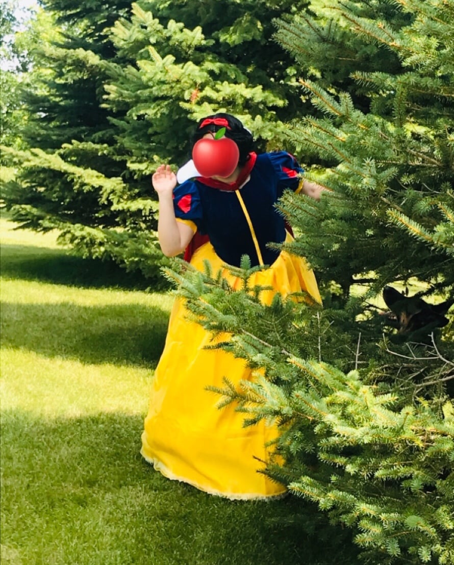 Snow White Princess Dress
