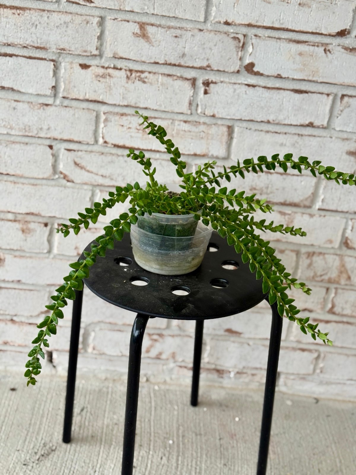 Belavi mosaic solar garden stakes set of