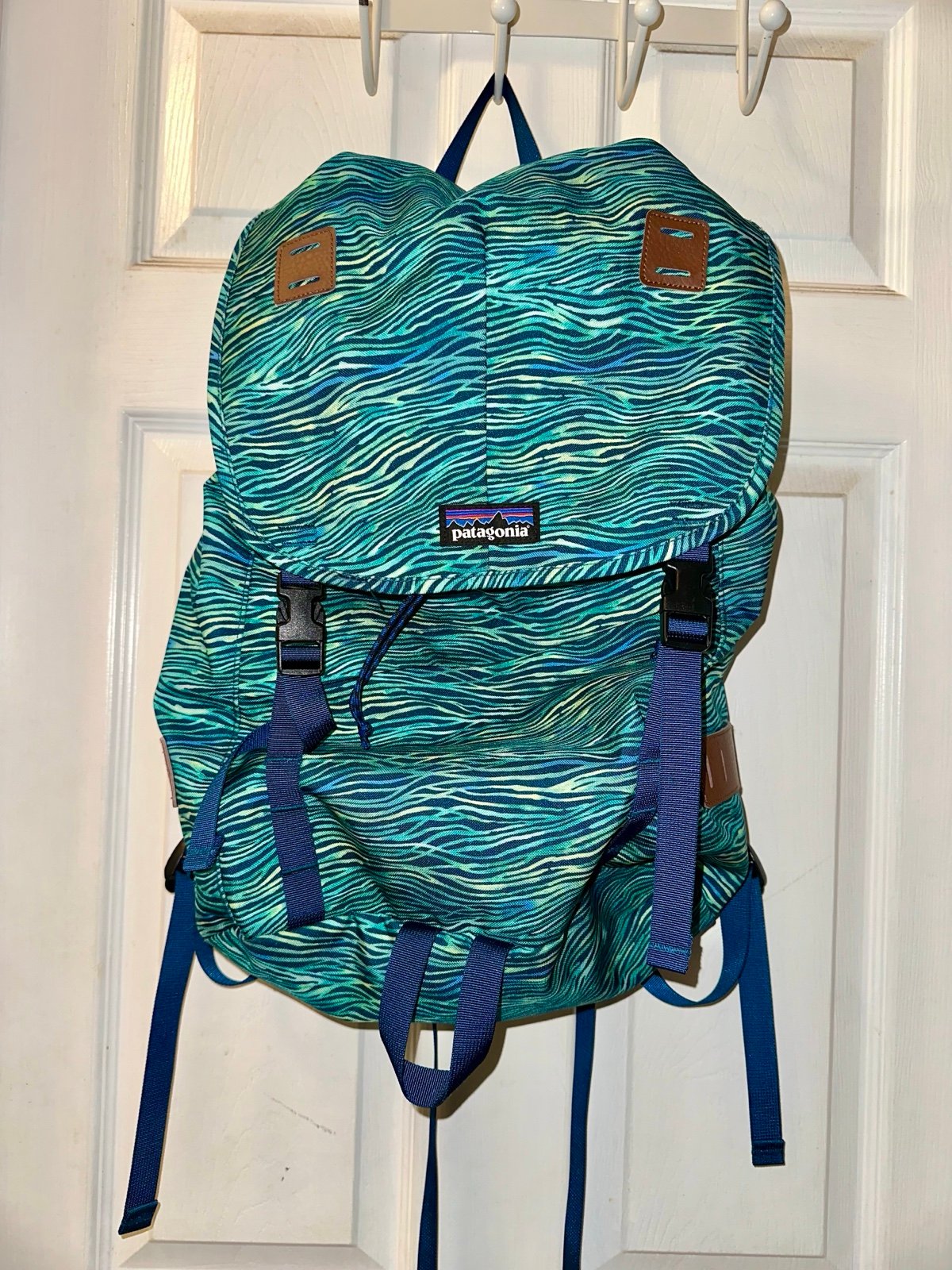 Patagonia Wave Print Backpack