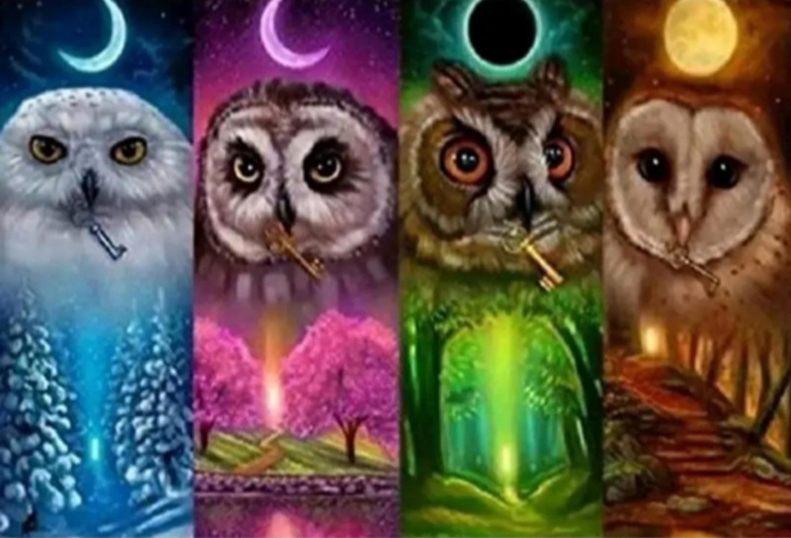 Diamond Painting Full/Round DIY 5D 12x16 *2 for 25.00 OR 3 for 30.00**FreeShip**