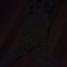 small dog clothes