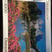 1000 Pieces Puzzle