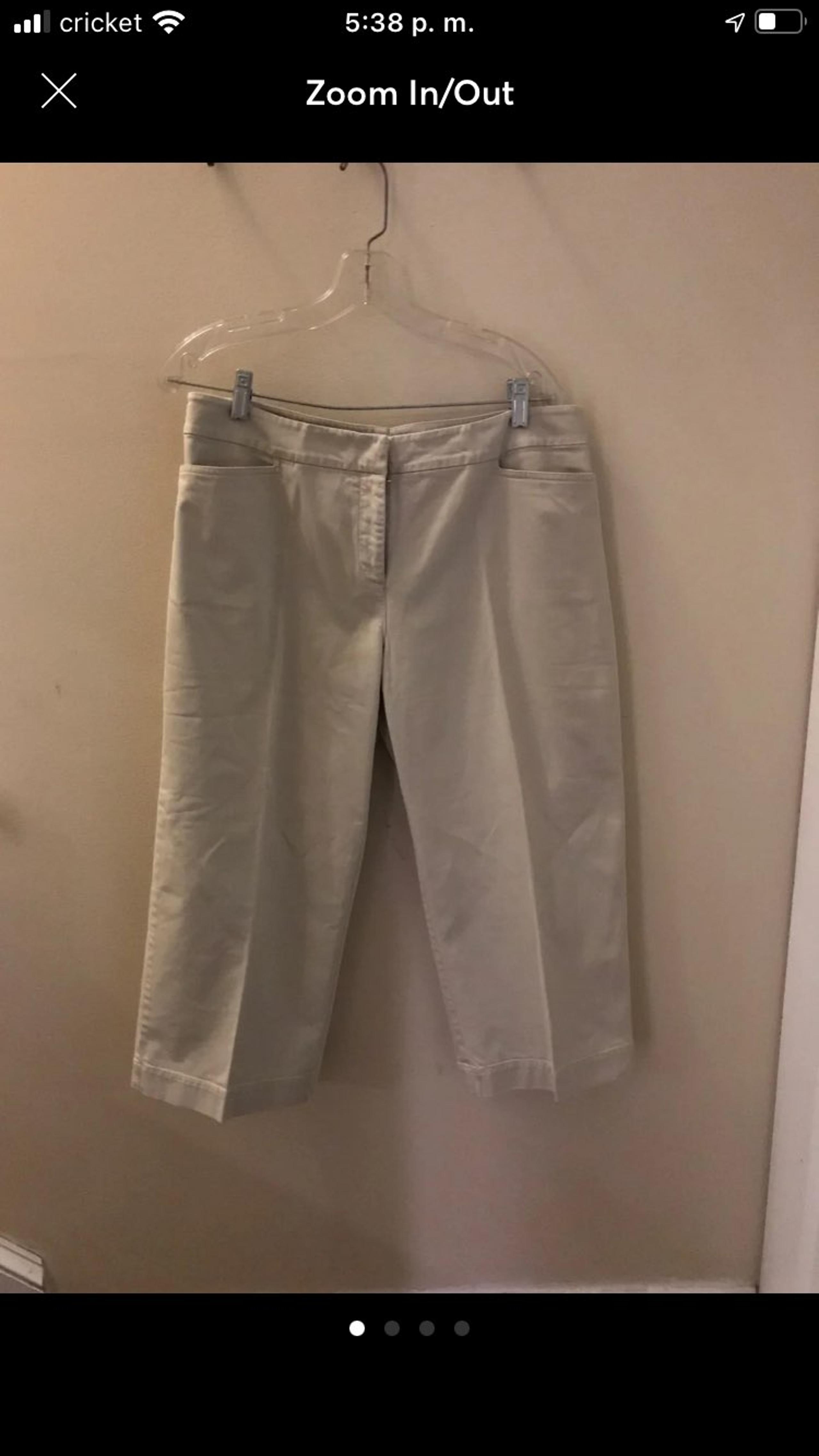 Eileen Fisher cropped Pants size pl,peti