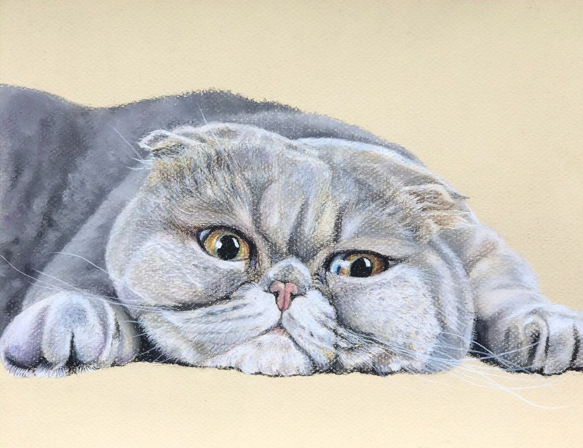 Original pastel drawing of cat