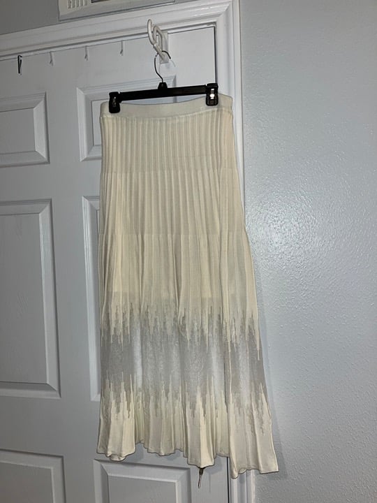 ZARA skirt