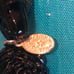 The Sparkle Factory Book & 2 Tarina Tarantino Black Heart Stretch Bracelets