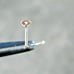 2.0mm 100% REAL NATURAL RED DIAMOND NOSE SCREW, w/CERTIFICATE OF AUTHENTICITY