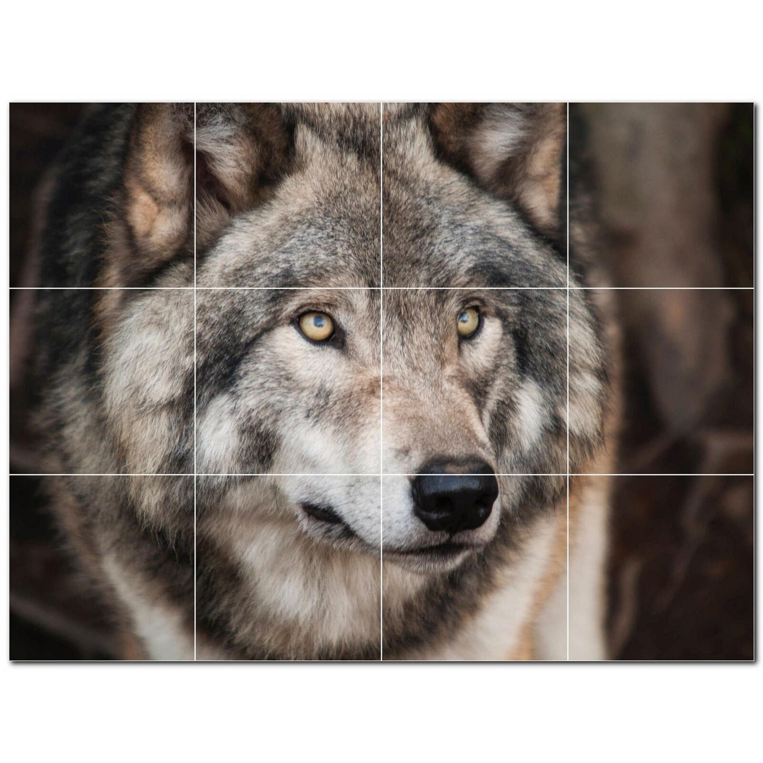 Wolf Ceramic Tile Wall Mural PT501241. 48" W x 36" H (12) 12x12 tiles