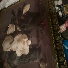 Pictures