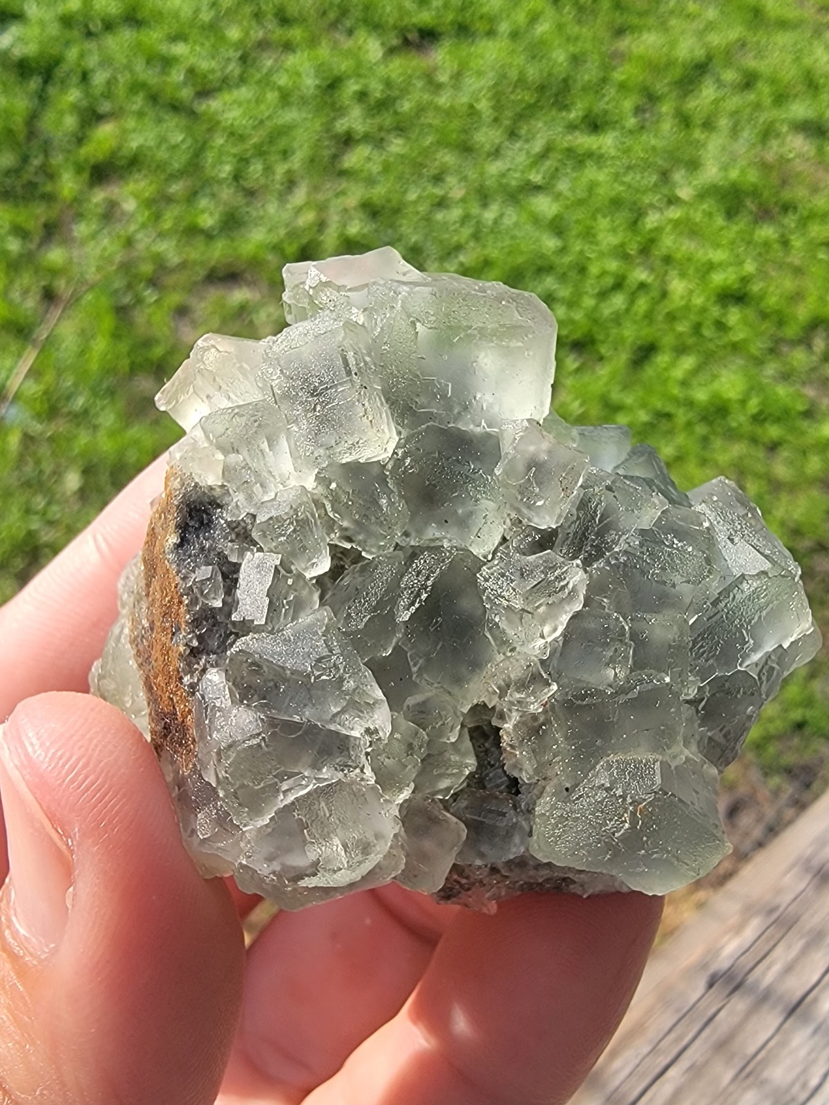 XHL Fluorite
