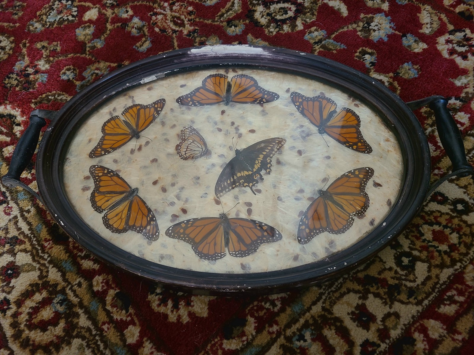 Antique Wood Serving Tray With Monarch Butterflies & Milk Weeds