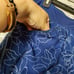 CYPRESS CLUB PULL ON SKIRT WITH BUILT SHORTS Medieval Blue SIZE L NWT NEW