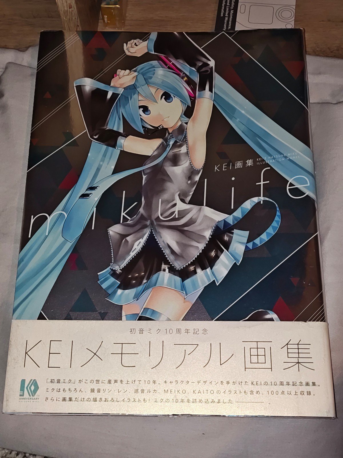 KEI's Hatsune Miku Illustration