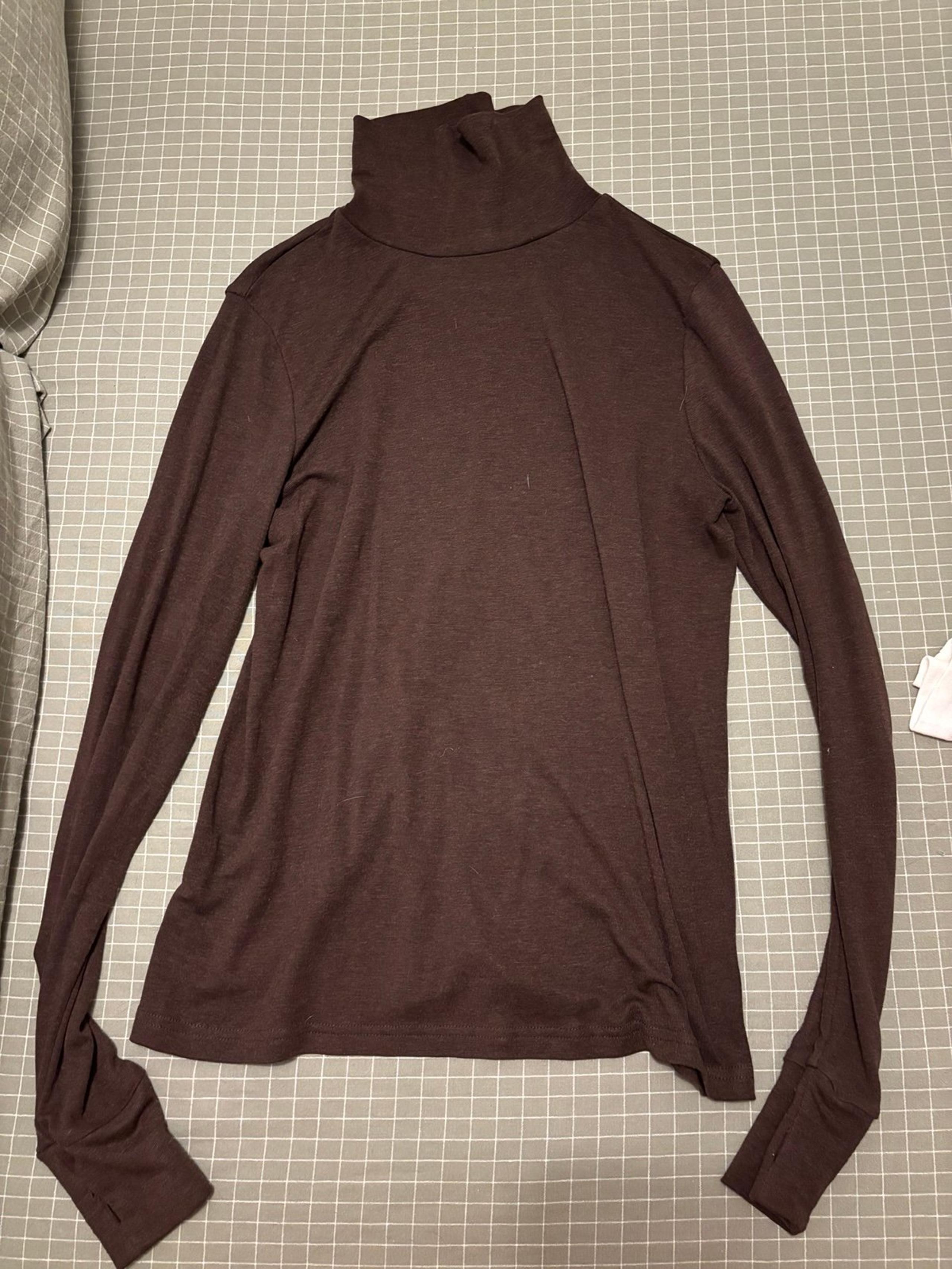 Sheer turtleneck