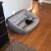 Medium dog bed
