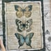 Butterfly notebook