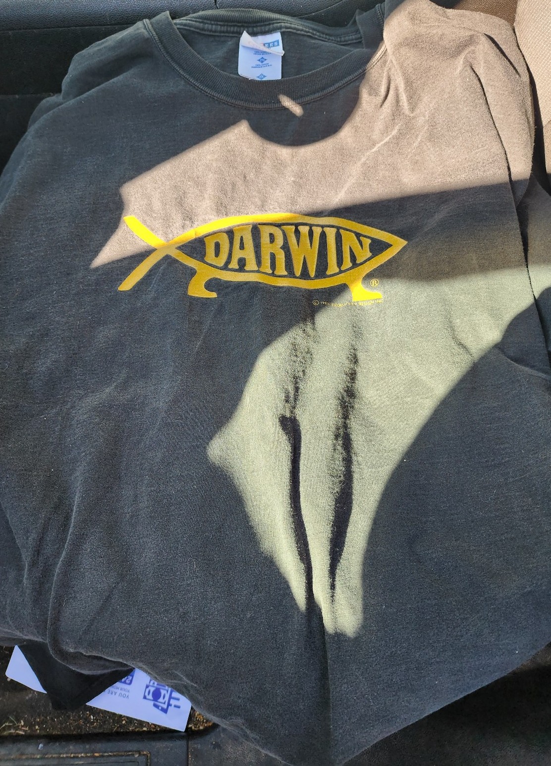 Darwin jesus fish