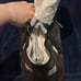 Coach City Tote