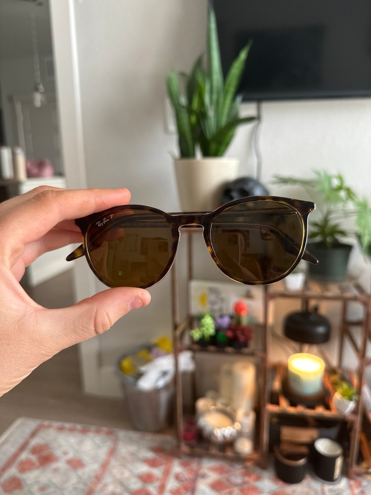 Sunglasses