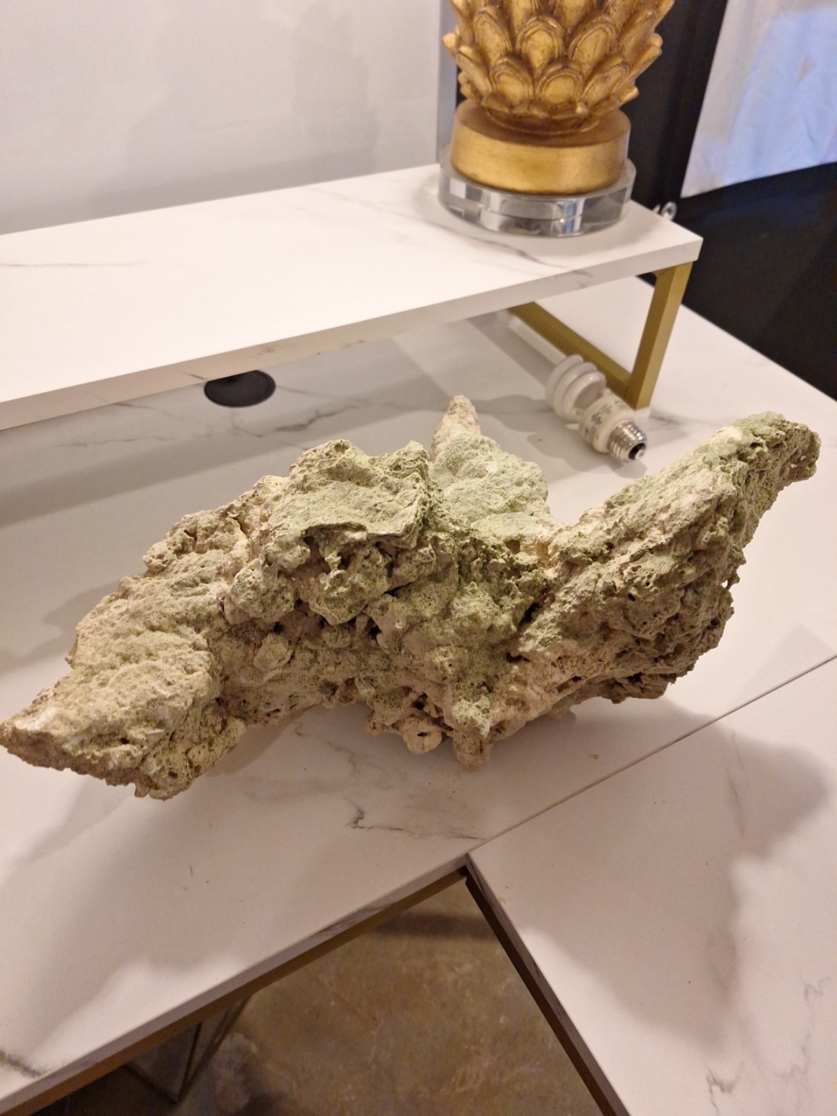 Aquarium coral decoration