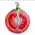 Anthropologie Half Tomato Ornament New Hand Blown Glass Rare Discontinued