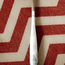 Softball Bat