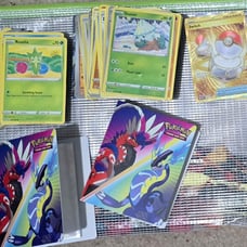 Pokémon Bulk