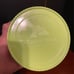 Ozark Trail 6 Piece Storage Container Set Camping New