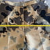 Adam Lippes Abstract -Print Bermuda Shorts