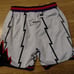 Prolish Toronto Raptors NBA Basketball Shorts Size Small Rare.
