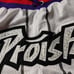 Prolish Toronto Raptors NBA Basketball Shorts Size Small Rare.