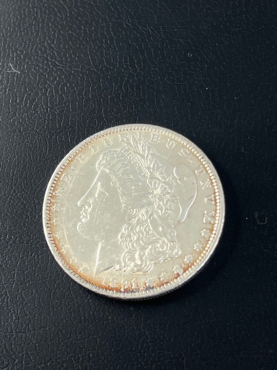1891 Morgan Silver Dollar - 90% Silver