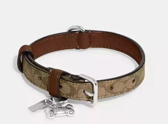 Coach Dog Pet Collar Signature Leather Khaki /silver,Size Small /New