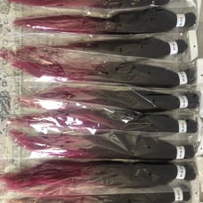 10 packs Ez pre stretched extensions
