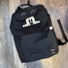 Mickey Mouse Cooler