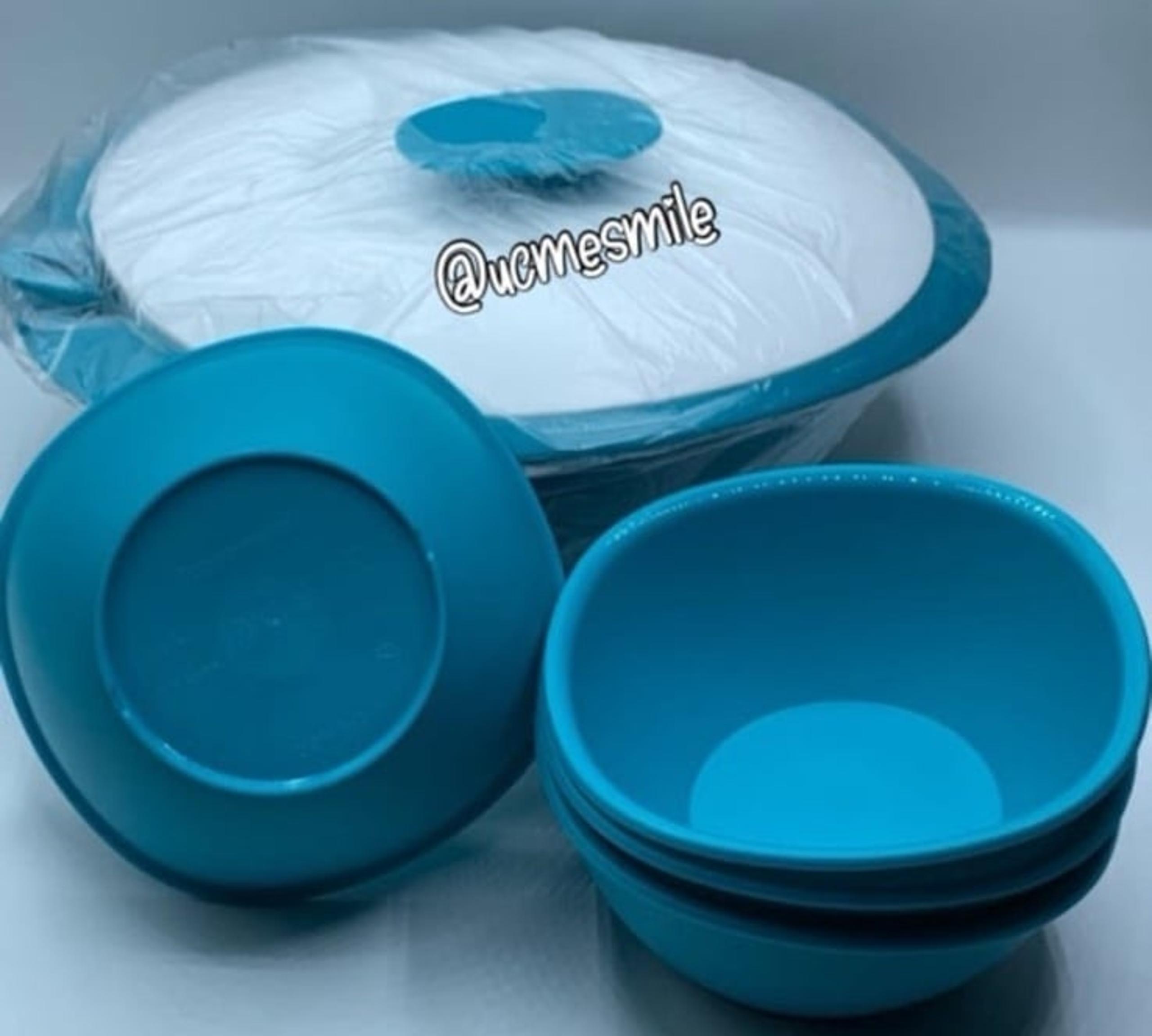 Tupperware Legacy Rice & Soup Server Bowl with Scoop & Bowl Set