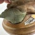 Florence Giuseppe Armani Bird Figurine Made In Italy 1982 signed Vintage Stand