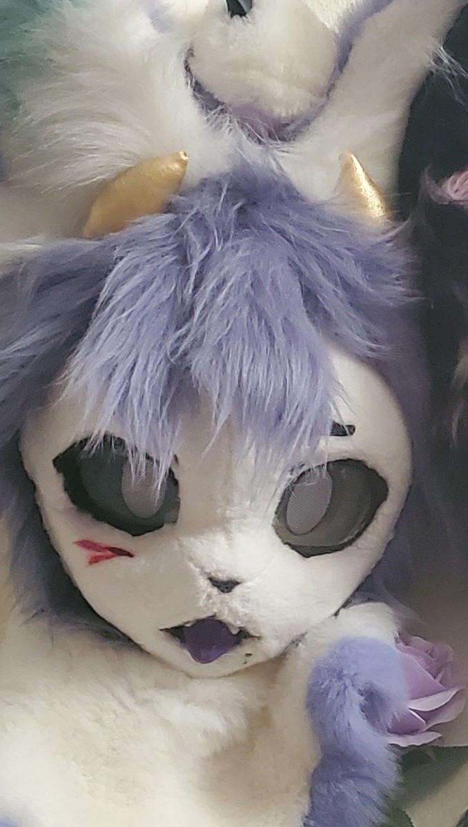 (Reserved) Bunny Fursuit read description.