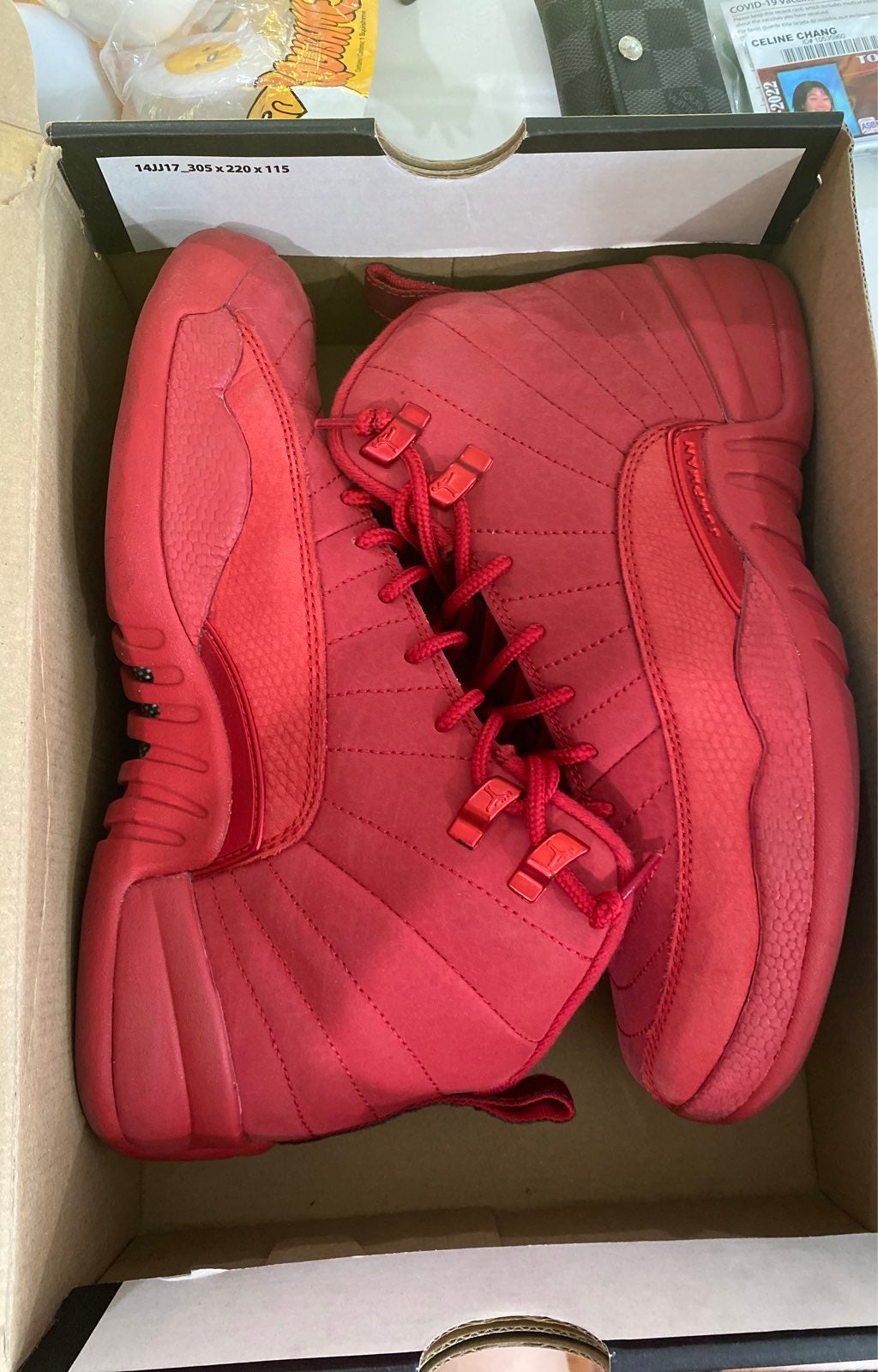 Air Jordan 12