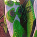 FootJoy junior golf shoes size 4