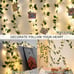 33ft100 LED Pothos String Lights with Remote