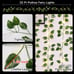 33ft100 LED Pothos String Lights with Remote