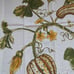 Williams Sonoma 4 pc set Botanical Pumpkin and Gourd Print Napkins White Green