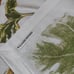 Williams Sonoma 4 pc set Botanical Pumpkin and Gourd Print Napkins White Green