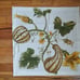 Williams Sonoma 4 pc set Botanical Pumpkin and Gourd Print Napkins White Green