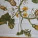 Williams Sonoma 4 pc set Botanical Pumpkin and Gourd Print Napkins White Green