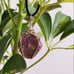 Raw Ruby Wire Wrap Pendant