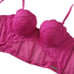 Baby Phat NWT Womens XS Pink Lace Bralette Bustier